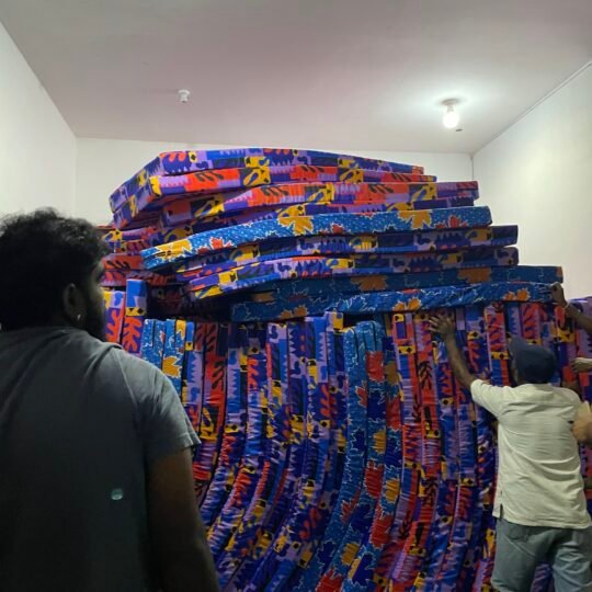https://serendibs.org/wp-content/uploads/2025/12/IMG_4784-540x540.jpg